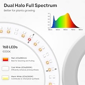 ieftine Lumini Reglabile LED-Lampă de creștere inelară cu două capete, de 6 inch, 3 moduri de culoare cu temporizator (3/9/12h), 10 niveluri reglabile, 168 LED-uri, înălțime reglabilă de 67 inch, spectru complet pentru plante de
