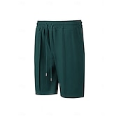 baratos Calções Estilo Casual-Homens Calções Waffle Calção Shorts de verão Shorts casuais Com Cordão Bolsos Cintura elástica Tecido Conforto Respirável Curto Ao ar livre Férias Verão Desporto Casual Vinho Micro-Elástica