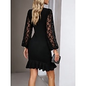 ieftine Rochie simplă-Pentru femei Rochie Mini Rochie teacă Elegant Petrecere cocktail În aer liber Petrecere Invitat la nunta Dantelă Peteci Fit regulat Culoare solidă Manșon Lung Stil Nautic Negru Roșu Vin Verde Închis