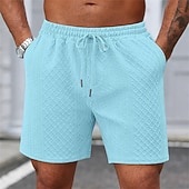economico Pantaloncini casual-Per uomo Shorts Pantaloncini casual Jacquard Testurizzato Semplice Comodità Traspirante Lunghezza al ginocchio Casuale All'aperto Spiaggia Vacanza Moda Blu marino Grigio chiaro Micro-elastico