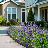 economico Fiore finti-24 mazzi di fiori di lavanda artificiali, piante viola da esterno, fiori finti resistenti ai raggi UV, fiori artificiali da esterno, piante finte in plastica per veranda, giardino, fioriera, cortile,