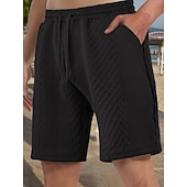 billiga Vardagsshorts-Herr Shorts Casual shorts Jacquard Slät Strukturerad Komfort Andningsfunktion Över Knät Ledigt Utomhus Strand Semester Mode Ljusgrå Microelastisk