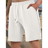 billiga Vardagsshorts-Herr Shorts Casual shorts Jacquard Slät Strukturerad Komfort Andningsfunktion Över Knät Ledigt Utomhus Strand Semester Mode Ljusgrå Microelastisk