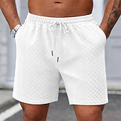 economico Pantaloncini casual-Per uomo Shorts Pantaloncini casual Jacquard Testurizzato Semplice Comodità Traspirante Lunghezza al ginocchio Casuale All'aperto Spiaggia Vacanza Moda Blu marino Grigio chiaro Micro-elastico