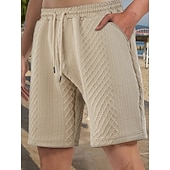 billiga Vardagsshorts-Herr Shorts Casual shorts Jacquard Slät Strukturerad Komfort Andningsfunktion Över Knät Ledigt Utomhus Strand Semester Mode Ljusgrå Microelastisk