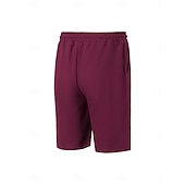 baratos Calções Estilo Casual-Homens Calções Waffle Calção Shorts de verão Shorts casuais Com Cordão Bolsos Cintura elástica Tecido Conforto Respirável Curto Ao ar livre Férias Verão Desporto Casual Vinho Micro-Elástica