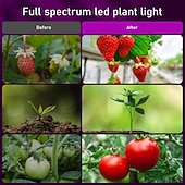 abordables Luces de cultivo para plantas-1 PC 9 W 12 W 40/80 Cuentas LED Espectro Completo Para el invernadero hidropónico Luces LED para Crecimiento Vegetal Lámpara creciente Rojo Azul Morado 5 V Invernadero vegetal