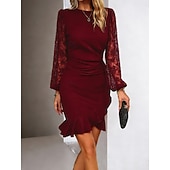 ieftine Rochie simplă-Pentru femei Rochie Mini Rochie teacă Elegant Petrecere cocktail În aer liber Petrecere Invitat la nunta Dantelă Peteci Fit regulat Culoare solidă Manșon Lung Stil Nautic Negru Roșu Vin Verde Închis
