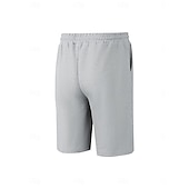 baratos Calções Estilo Casual-Homens Calções Waffle Calção Shorts de verão Shorts casuais Com Cordão Bolsos Cintura elástica Tecido Conforto Respirável Curto Ao ar livre Férias Verão Desporto Casual Vinho Micro-Elástica