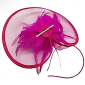 voordelige Fascinators &amp; Hoeden-Derby Helm Tovenaar Vriendelijke vrouw Veer Kostuum Dames Maskerade Teaparty Ascot Paardenracefestival Volwassenen Helm