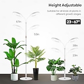 ieftine Lumini Reglabile LED-Lampă de creștere inelară cu două capete, de 6 inch, 3 moduri de culoare cu temporizator (3/9/12h), 10 niveluri reglabile, 168 LED-uri, înălțime reglabilă de 67 inch, spectru complet pentru plante de