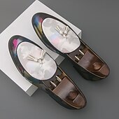 voordelige Loafers-Kleurrijke loafers van imitatieleer voor heren met kwastjes, een trendy instapmodel voor modieuze casual en semi-formele gelegenheden.