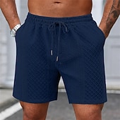 economico Pantaloncini casual-Per uomo Shorts Pantaloncini casual Jacquard Testurizzato Semplice Comodità Traspirante Lunghezza al ginocchio Casuale All'aperto Spiaggia Vacanza Moda Blu marino Grigio chiaro Micro-elastico