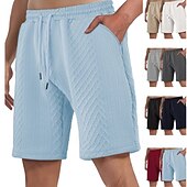 billiga Vardagsshorts-Herr Shorts Casual shorts Jacquard Slät Strukturerad Komfort Andningsfunktion Över Knät Ledigt Utomhus Strand Semester Mode Ljusgrå Microelastisk
