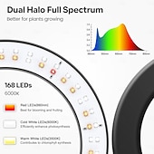 ieftine Lumini Reglabile LED-Lampă de creștere inelară cu două capete, de 6 inch, 3 moduri de culoare cu temporizator (3/9/12h), 10 niveluri reglabile, 168 LED-uri, înălțime reglabilă de 67 inch, spectru complet pentru plante de