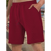 billiga Vardagsshorts-Herr Shorts Casual shorts Jacquard Slät Strukturerad Komfort Andningsfunktion Över Knät Ledigt Utomhus Strand Semester Mode Ljusgrå Microelastisk