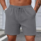 economico Pantaloncini casual-Per uomo Shorts Pantaloncini casual Jacquard Testurizzato Semplice Comodità Traspirante Lunghezza al ginocchio Casuale All'aperto Spiaggia Vacanza Moda Blu marino Grigio chiaro Micro-elastico