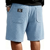 abordables Shorts décontractés-Homme Short gaufré Shorts Short décontracté Avec Poches Taille Élastique Uni À carreaux Confort Respirant Longueur Genou Occasionnel Extérieur Vacances Vacances Mode Noir Blanche Micro-Élastique