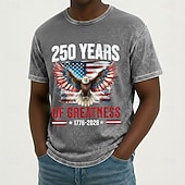 olcso Patrióta 250 pólók-Férfi Amerikai amerikai zászló Sas Póló Ásványi mosópóló Rövid ujjú póló Savas mosás Terített nyak Ing Vintage Retro Hazafias Hétköznapi Utazás Vakáció Medence Bíbor Szürke Nyár Tavasz Ruházat M L XL