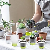 お買い得  植物ケアアクセサリー-蓋付きスタータートレイと植物ラベル付きの4インチ苗カップ10個、透明な苗ポット、補強されたベース付きの再利用可能なプラスチック植木鉢、移植が簡単 &amp;種まき