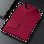 cheap Men's Pullover Sweater-Men's Turtleneck Sweater Pullover Sweater Jumper Jumper Ribbed Knit Regular Tops Knitted Plain Mock Neck Keep Warm Modern Contemporary Daily Wear Going out Clothing Apparel Fall Winter Black White S