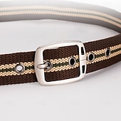 preiswerte Herren-Gürtel-Herren Gürtel Verstellbar Chrom Segeltuch Streetwear Zeitgenössisch Freizeit Farbblock Schwarz Braun Täglich Outdoor Taillengürtel