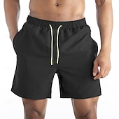 economico Costumi da Bagno per Uomini-Per uomo Shorts Shorts da Spiaggia Pantaloncini casual Coulisse Tasca Elastico in vita Semplice Impermeabile Comodità Corto Casuale All'aperto Vacanza Vacanza Moda Blu azzurro cielo Micro-elastico