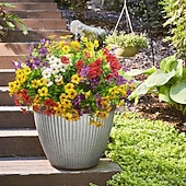 お買い得  造花-屋外の春の装飾用、人工造花8束。シルク製のカラフルな紫色のUV耐性リアルな造花で、屋外のポーチ、パティオ、庭、プランター、鉢、窓辺のプランターに最適です（ミックス）。