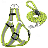 economico Collari, Imbracature e Guinzagli-Guinzaglio per cani, pettorina antistrappo, gilet riflettente in nylon per cani, guinzaglio da addestramento, adatto a cani di piccola taglia