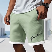 cheap Men's 3D Sweat Shorts-Men's Letter Print Funny Slang Waffle Shorts Casual Shorts Textured Shorts Mid Waist Fashion Casual Daily Vacation Elastic Drawstring Waist Shorts with Pockets Designer Clothing Apparel