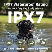 Χαμηλού Κόστους Εκπαίδευση για Σκύλους &amp; Συμπεριφορά-Κολάρο εκπαίδευσης σκύλου - 3 σε 1 για έλεγχο γαβγίσματος