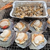 voordelige Grills voor buiten koken-20 stuks barbecuespiesen, multifunctionele roestvrijstalen spiesen met houten handvatten, barbecueprikkers, benodigdheden voor buitenkoken en barbecueën van kippenvleugels en ander vlees.