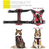 economico Collari, Imbracature e Guinzagli-Set composto da pettorina e guinzaglio per cani da assistenza, include ciotola pieghevole, giubbotto riflettente e cinque toppe. Pettorina regolabile in morbido tessuto Oxford, adatta a cani di