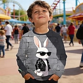 preiswerte Osteroutfits für Jungen-Ostern Jungen 3D Grafik Kaninchen Sweatshirt Pullover Langarm 3D-Druck Frühling Herbst Aktiv Mode Streetwear Kinder 4-12 Jahre Rundhalsausschnitt Lässig Täglich Outdoor Normale Passform