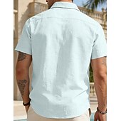 abordables Clásico-Hombre Camisa Camisa de lino Abotonar la camisa Plano Vacaciones Calle Negro Blanco Caqui Gris Oscuro Manga Corta Cuello Camisero Verano Primavera Ropa Bolsillo