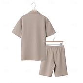 billige Basic Tees-sett for menn-Herre Polo T-skjorte drakter Joggedress Shorts og T-skjorte sett Kortermet Kort Erme Aftæpning Sommer Fargeblokk Gymnastik Fritid Jacquard Glidelås 2 deler Avslappet Feriereise Dagligdagstøy Svart