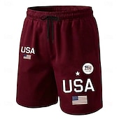 abordables Shorts Patrióticos 250-Hombre 4 de julio, 250 aniversario de Estados Unidos Bandera estadounidense Boxers de Natación Pantalones de Natación Pantalones de Surf Media cintura Patriótico Festivos Bolsillos laterales Forro de