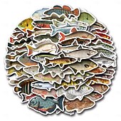 economico Adesivi murali-110 adesivi di pesci per adulti e bambini, adesivi in vinile impermeabili di animali marini oceanici per laptop, borraccia, telefono, Kindle, diario, album di ritagli, skateboard, bagagli, senza