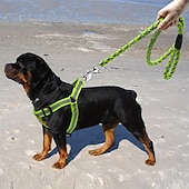 economico Collari, Imbracature e Guinzagli-Guinzaglio per cani, pettorina antistrappo, gilet riflettente in nylon per cani, guinzaglio da addestramento, adatto a cani di piccola taglia