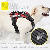economico Collari, Imbracature e Guinzagli-Set composto da pettorina e guinzaglio per cani da assistenza, include ciotola pieghevole, giubbotto riflettente e cinque toppe. Pettorina regolabile in morbido tessuto Oxford, adatta a cani di
