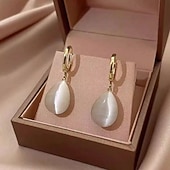 Недорогие Серьги-1 пара Серьги-слезки Серьги For Жен. Повседневные Для улицы Свидание Сплав Свисающие