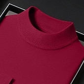 cheap Men's Pullover Sweater-Men's Turtleneck Sweater Pullover Sweater Jumper Jumper Ribbed Knit Regular Tops Knitted Plain Mock Neck Keep Warm Modern Contemporary Daily Wear Going out Clothing Apparel Fall Winter Black White S