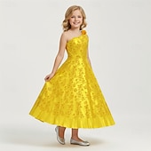 preiswerte Kostüme für Mädchen-Tierdetektiv Tier Kaninchen Kleid Themenparty-Kostüm Vintage Lässig for Mädchen Kinder Halloween Karneval Maskerade Comic-Konzert