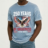 olcso Patrióta 250 pólók-Férfi Amerikai amerikai zászló Sas Póló Ásványi mosópóló Rövid ujjú póló Savas mosás Terített nyak Ing Vintage Retro Hazafias Hétköznapi Utazás Vakáció Medence Bíbor Szürke Nyár Tavasz Ruházat M L XL