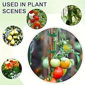 cheap Plant Care Accessories-100Pcs Reusable Adjustable Non-Slip Nylon Plant Ties, Green Perfect for Climbing Plants, Support and Garden Maintenance, Safe &amp; Easy-to-Use Gardening Tool