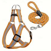 economico Collari, Imbracature e Guinzagli-Guinzaglio per cani, pettorina antistrappo, gilet riflettente in nylon per cani, guinzaglio da addestramento, adatto a cani di piccola taglia