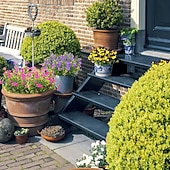 Недорогие Искусственные цветы-24 пучка искусственных весенних цветов для улицы, искусственные растения, устойчивые к УФ-излучению, самшит, искусственные пластиковые кустарники, растения для патио, веранды, сада, подвесные вазы,