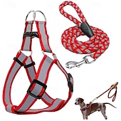 economico Collari, Imbracature e Guinzagli-Guinzaglio per cani, pettorina antistrappo, gilet riflettente in nylon per cani, guinzaglio da addestramento, adatto a cani di piccola taglia