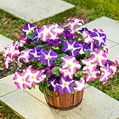 cheap Artificial Flower-4 Bundles Spring Artificial Morning Glory Flowers for Outdoors, UV Resistant Fake Look Real Faux Silk Plants for Front Door Garden Porch Planter