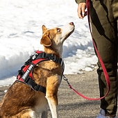 economico Collari, Imbracature e Guinzagli-Set composto da pettorina e guinzaglio per cani da assistenza, include ciotola pieghevole, giubbotto riflettente e cinque toppe. Pettorina regolabile in morbido tessuto Oxford, adatta a cani di